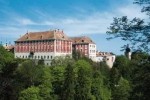 View from the park